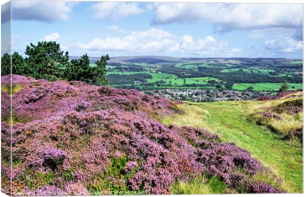  Ilkley Moor and Town Canvas Print by Diana Mower
