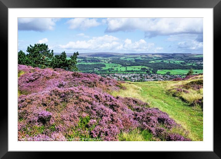  Ilkley Moor and Town Framed Mounted Print by Diana Mower