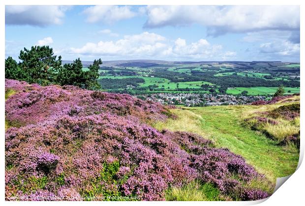  Ilkley Moor and Town Print by Diana Mower