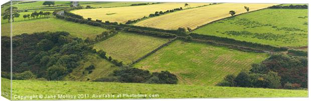 Patchwork of green fields Canvas Print by Jane McIlroy