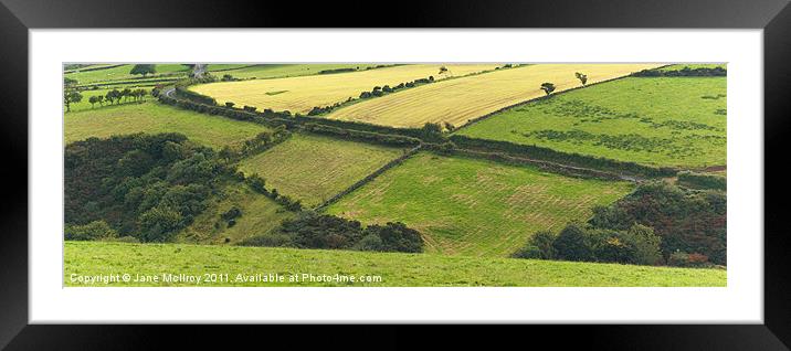 Patchwork of green fields Framed Mounted Print by Jane McIlroy