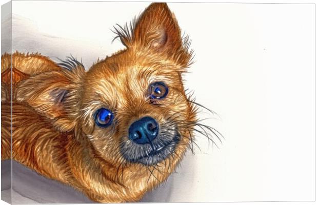 A beautiful watercolor painting of a cute dog. Canvas Print by Michael Piepgras