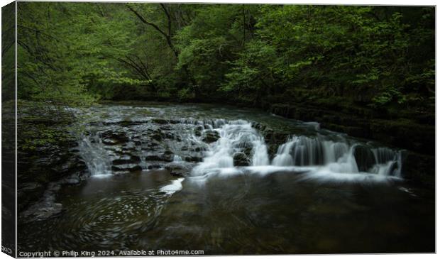 Waterfall Country, South Wales Canvas Print by Philip King