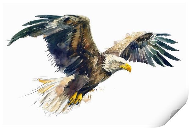 Watercolor of a sea eagle on white. Print by Michael Piepgras