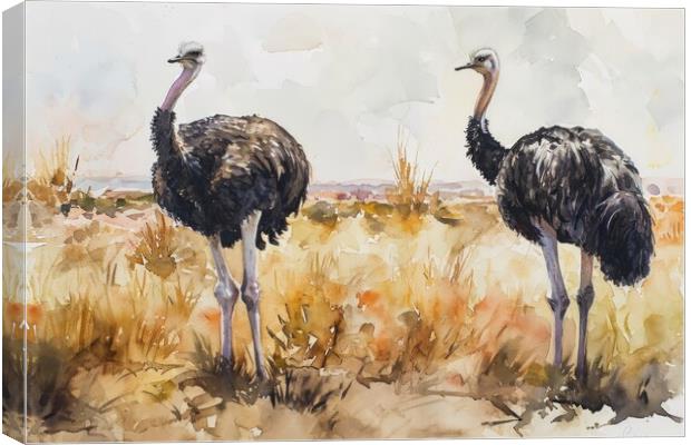 Watercolor of an Ostrich couple in the savannah. Canvas Print by Michael Piepgras