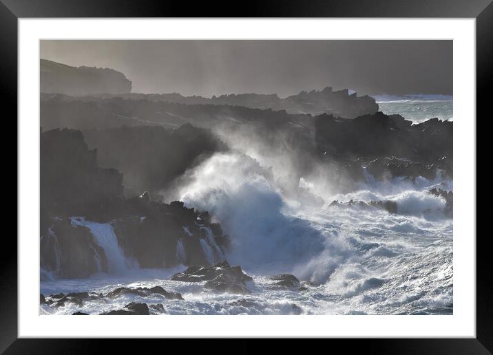 Wild sea Framed Mounted Print by barbara walsh