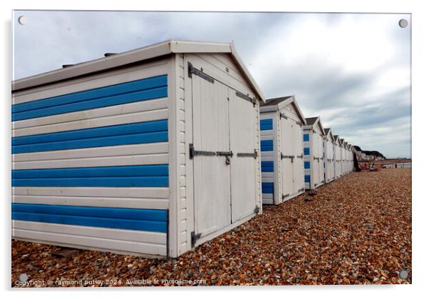 Hastings Seafront - Beach Huts Acrylic by Ray Putley