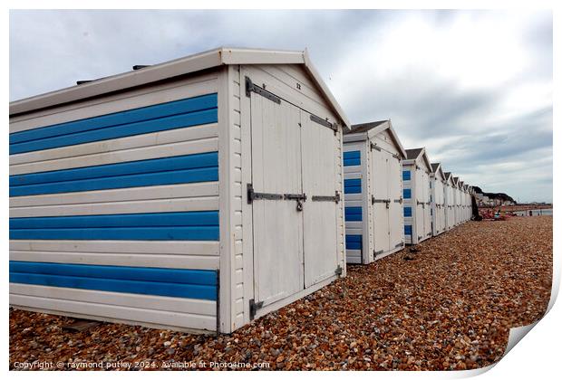 Hastings Seafront - Beach Huts Print by Ray Putley