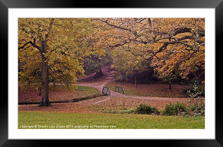 A walk in the park Framed Mounted Print by Sharon Lisa Clarke