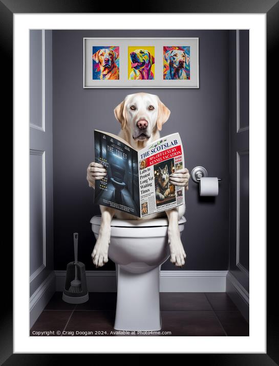 White Labrador on the Toilet Framed Mounted Print by Craig Doogan