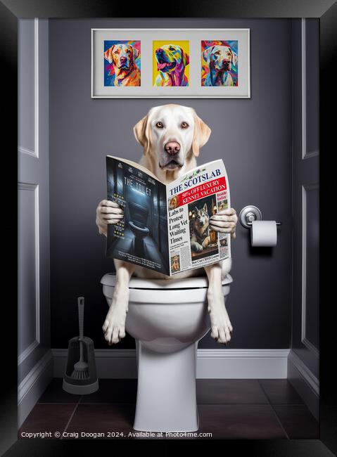 White Labrador on the Toilet Framed Print by Craig Doogan