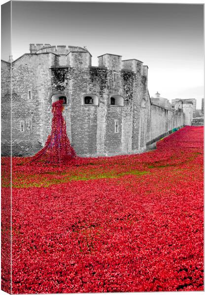 Tower of London Red Poppies Canvas Print by Andy Evans Photos