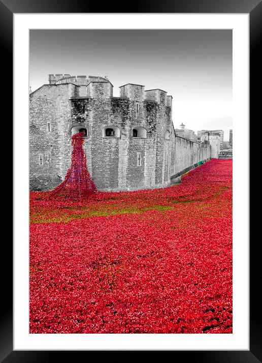 Tower of London Red Poppies Framed Mounted Print by Andy Evans Photos