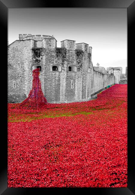 Tower of London Red Poppies Framed Print by Andy Evans Photos
