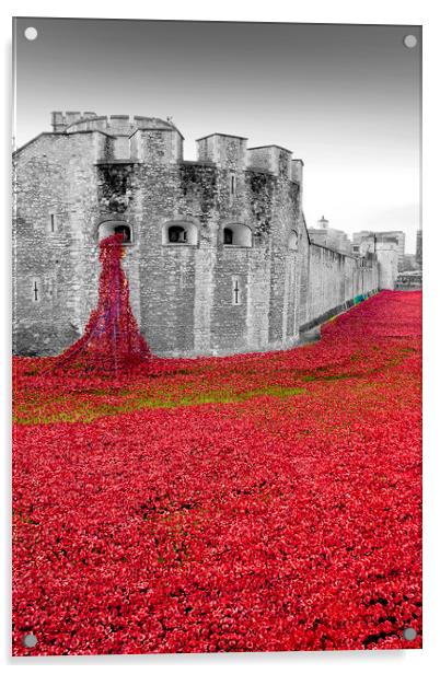 Tower of London Red Poppies Acrylic by Andy Evans Photos