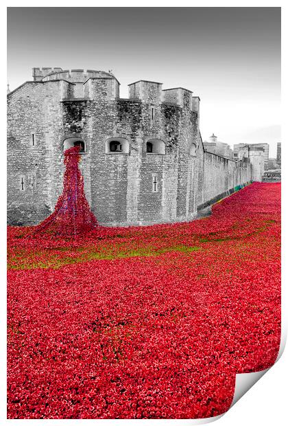 Tower of London Red Poppies Print by Andy Evans Photos