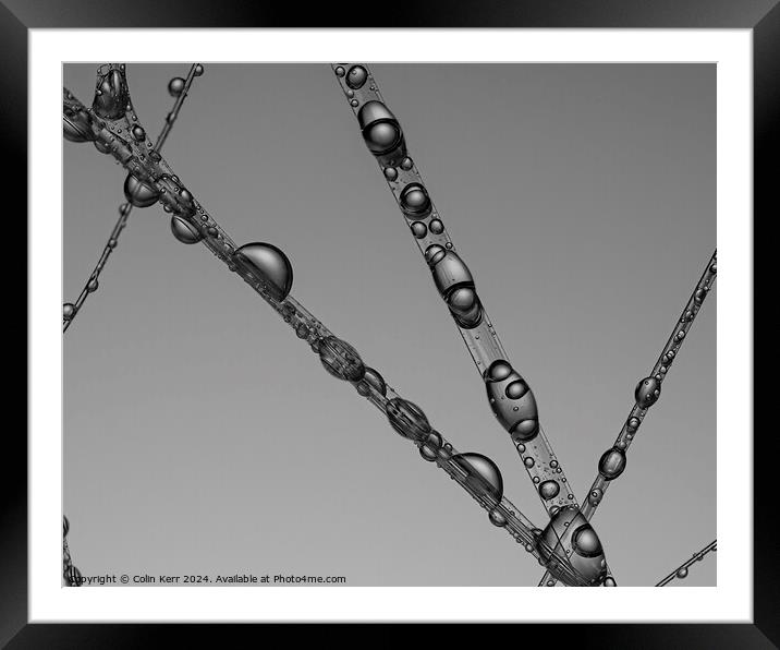 macro water threads Framed Mounted Print by Colin Kerr