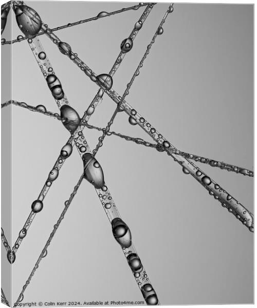 Macro water threads Canvas Print by Colin Kerr