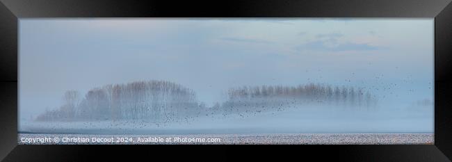 Morning mists in the plain in winters. Framed Print by Christian Decout