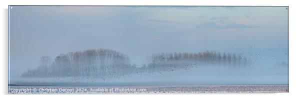 Morning mists in the plain in winters. Acrylic by Christian Decout