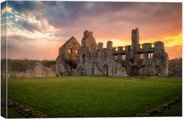 Egglestone Abbey at Barnard Castle Canvas Print by Tim Hill