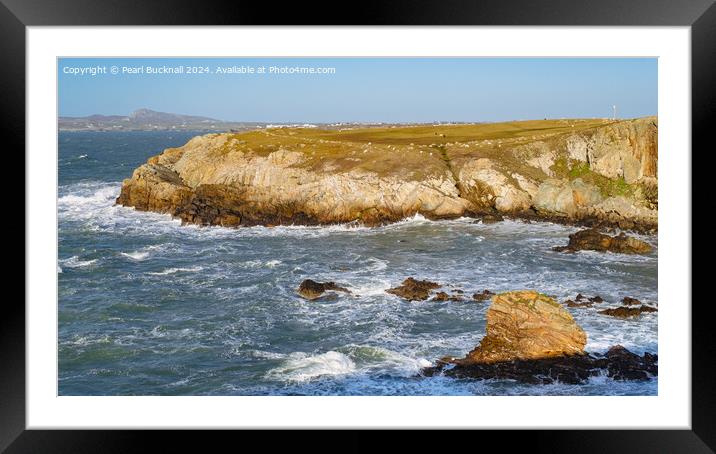 Rocky Coast Isle of Anglesey panoramic Framed Mounted Print by Pearl Bucknall