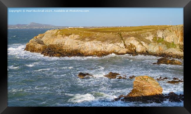 Rocky Coast Isle of Anglesey panoramic Framed Print by Pearl Bucknall