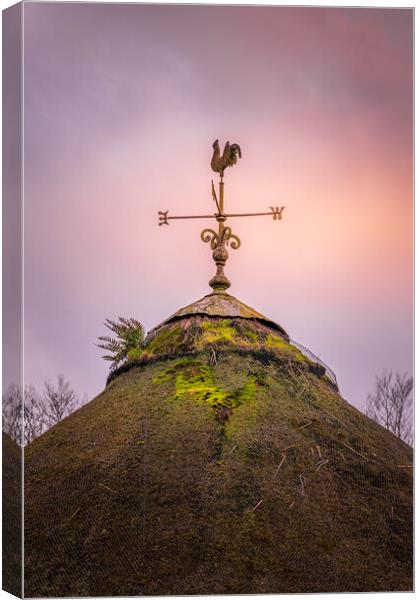 The Weather-Vane Canvas Print by Richard Downs