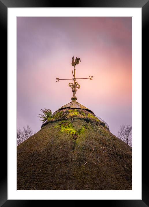 The Weather-Vane Framed Mounted Print by Richard Downs