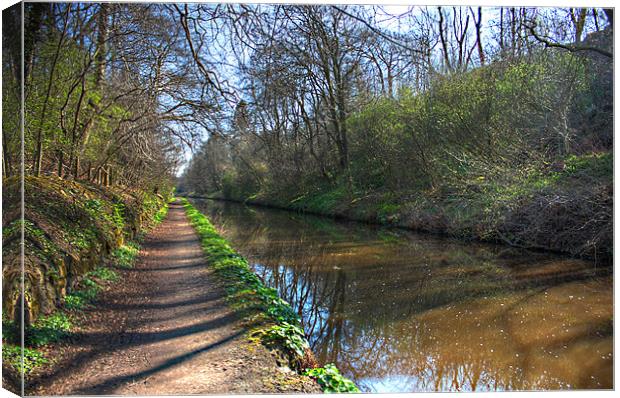 A walk along the Union Canal Canvas Print by Tom Gomez