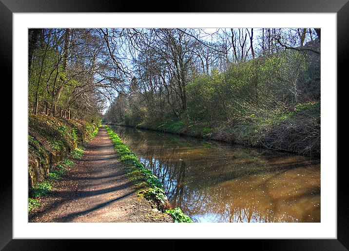 A walk along the Union Canal Framed Mounted Print by Tom Gomez