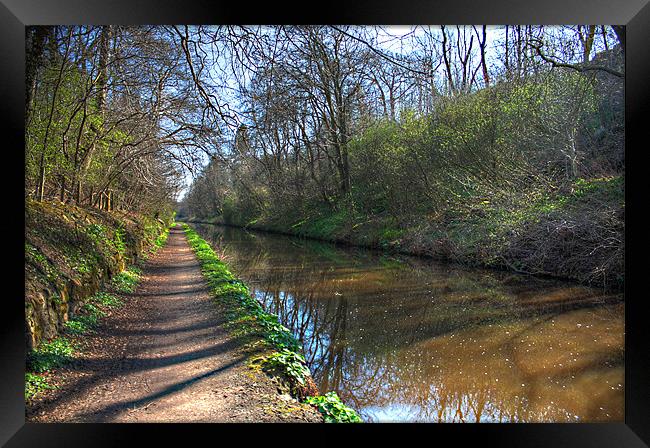 A walk along the Union Canal Framed Print by Tom Gomez