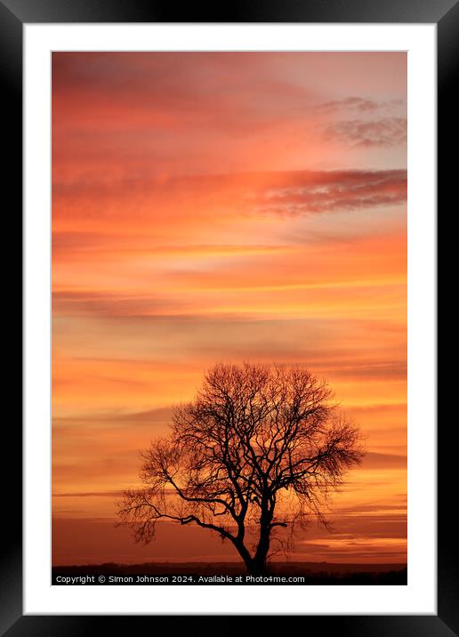 Cotswold sunset and tree silhouette   Framed Mounted Print by Simon Johnson