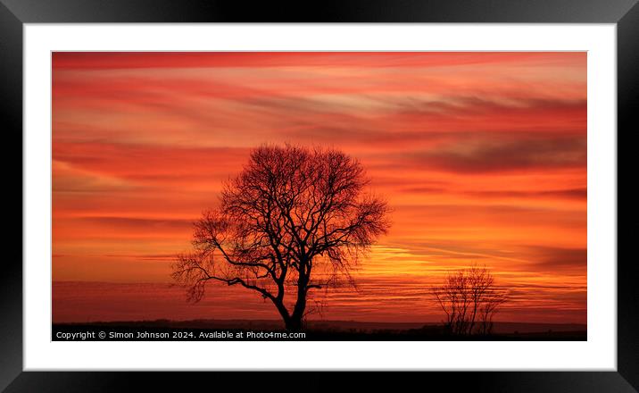 tree silhouette  at sunset Framed Mounted Print by Simon Johnson