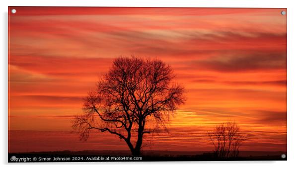 tree silhouette  at sunset Acrylic by Simon Johnson