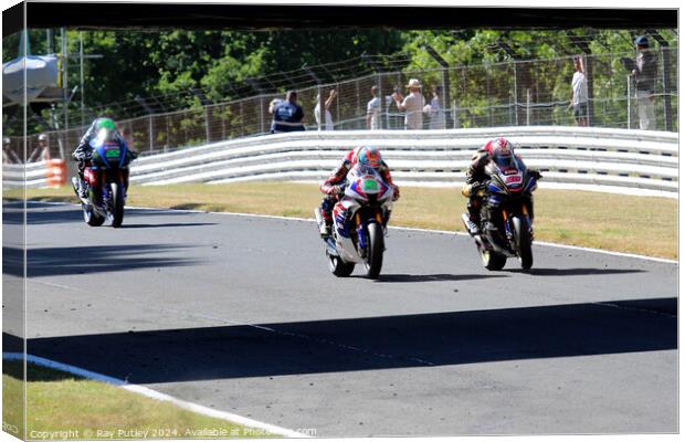 British Superbikes Championship. Canvas Print by Ray Putley