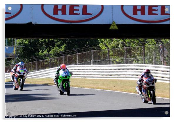 British Superbikes Championship. Acrylic by Ray Putley