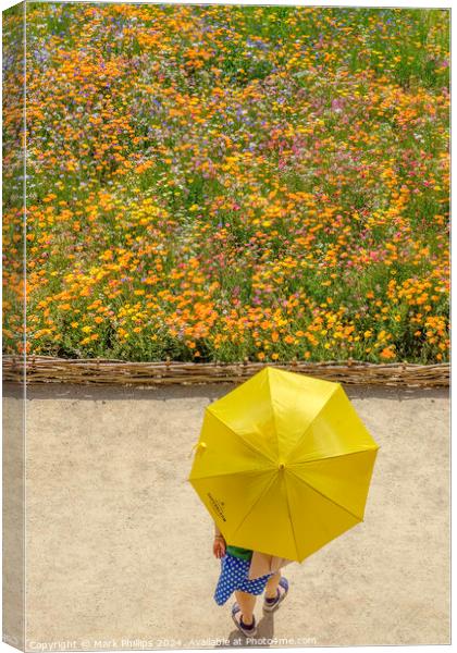 Superbloom Canvas Print by Mark Phillips