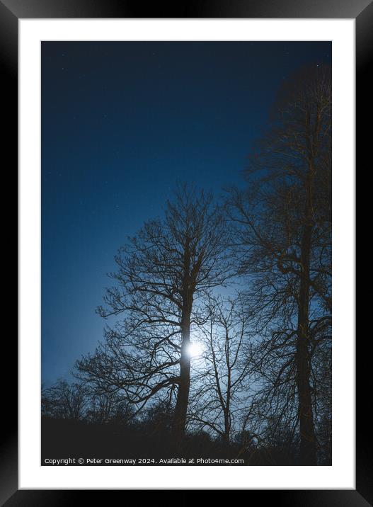 Bare Trees In Winter Illuminated By Moonlight Framed Mounted Print by Peter Greenway