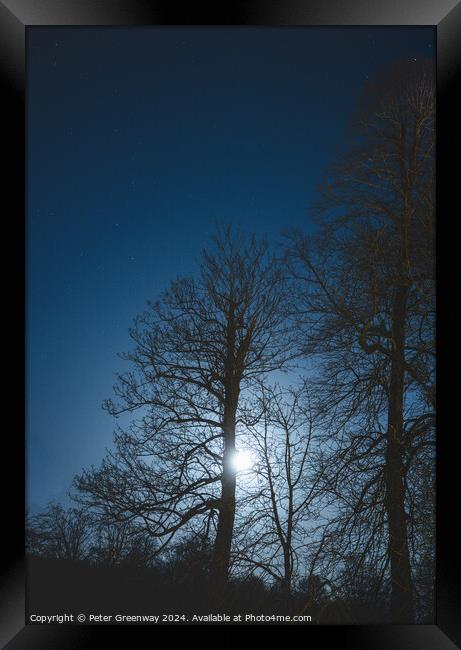 Bare Trees In Winter Illuminated By Moonlight Framed Print by Peter Greenway