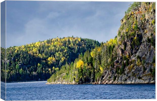 Fall Colours on the Saguenay River in Quebec Canada Canvas Print by Martyn Arnold