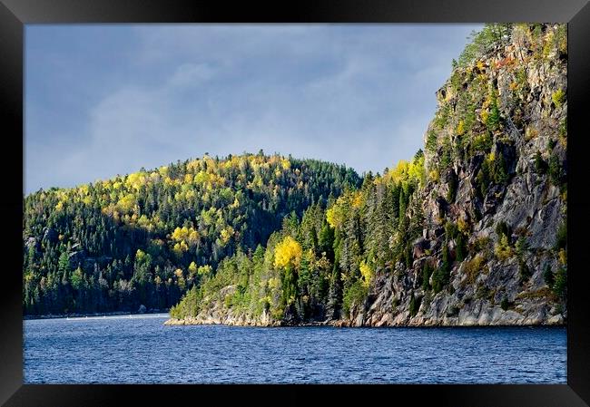 Fall Colours on the Saguenay River in Quebec Canada Framed Print by Martyn Arnold