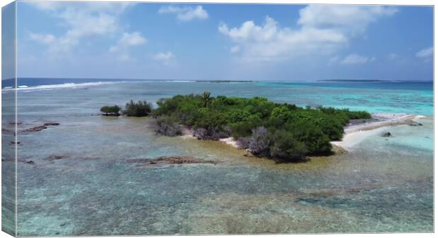 Drone view of paradise islands of the Maldives with coral reefs  Canvas Print by Michael Piepgras