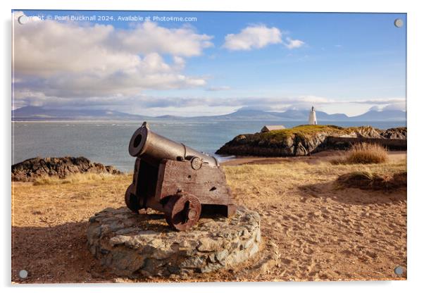 Ynys Llanddwyn Island Isle of Anglesey Acrylic by Pearl Bucknall
