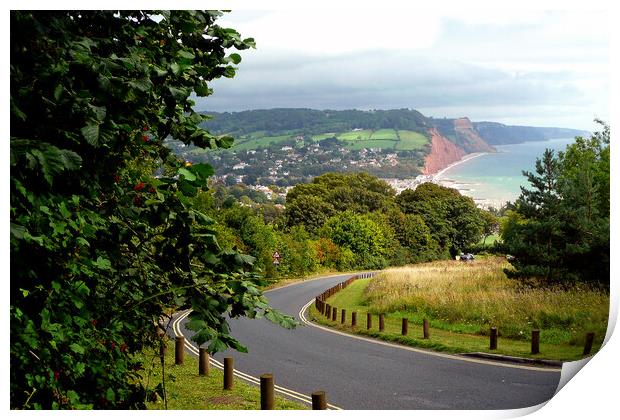 Sidmouth South East Devon England United Kingdom Print by Andy Evans Photos