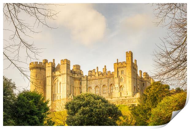 Arundel Castle Print by Gary Blackall