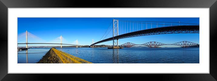 Forth Bridges Panorama  Framed Mounted Print by Alison Chambers