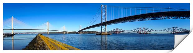 Forth Bridges Panorama  Print by Alison Chambers