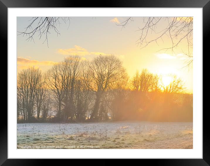 Winter Sun Framed Mounted Print by Ian Donaldson