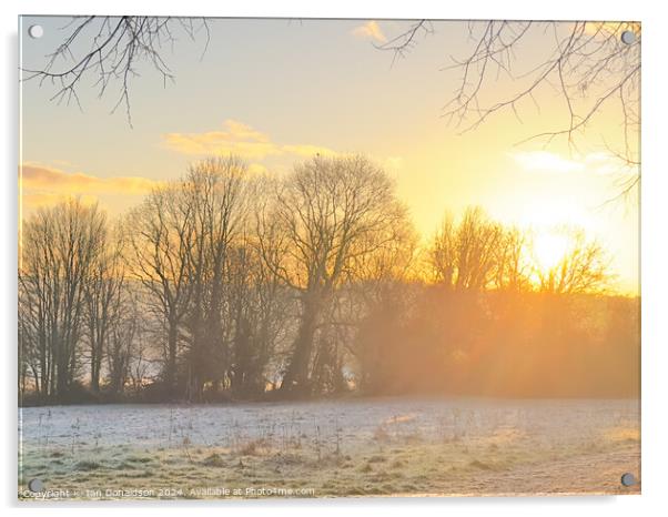 Winter Sun Acrylic by Ian Donaldson